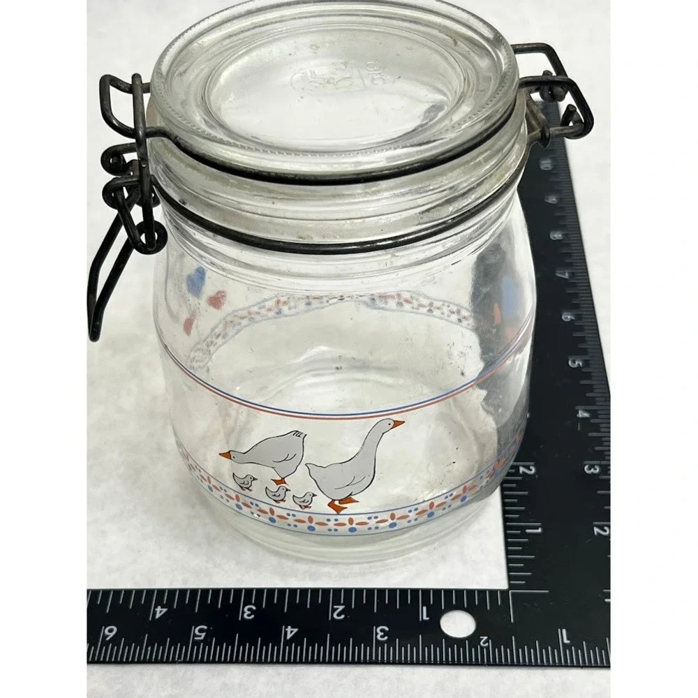 Vintage Arc France Glass Canister Country Goose Hearts Wire Bail Lid Jar 315